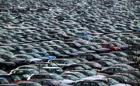 Abwrack-Prämie von 5000 bis 18000 Euro bei VW