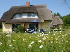 Rügen - Feriendorf Puddemin Doppelhaushälfte in Puddemin