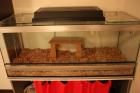 Terrarium komplett aus Spezialglas 1 20m lang