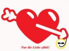 TV-Show Nur die Liebe zählt