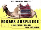 Urlaub im Land der Pyramiden Aegypten