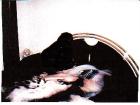 Messingbett schwarz-gold