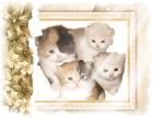 Unseren babys wurden an ostern geboren