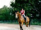 Biete Reitbeteiligung auf 2 Warmblutstuten in Laupheim gegen geringe Unkotenbete