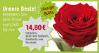 Edelrosen Versand mit Rosenbote. de