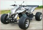 Das Sportquad des Jahres 2022
