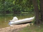Schlauchboot 360 Phoenix bis 25 PS Baugleich Yamaha Zodiac .