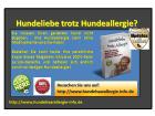 Wie Sie Ihren Hund trotz Hundeallergie behalten können.