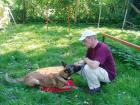Hundetrainer zuhause individuell und maßgeschneidert