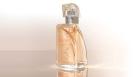 Heidi Klum Parfum Dreams