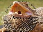 Verkaufe Bartagame - Pogona vitticeps