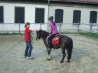 Reitferien Tages- und Weekendaufenthalte