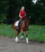 Hallo liebe Ponybesitzer D