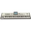 Neues org verpacktes KORG Pa2x Pro Koffer