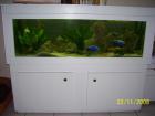 Komplettes Aquarium mit Schrank Technik und Besatz 150x50x50cm 375l