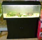 160 L Komplett Aquarium zu verkaufen