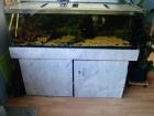 Verkaufe ein 400l Aquarium mit untergestell und Fische und Zubehör