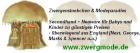 Günstige Secondhand und Neuware - Babys Kinder und Damen