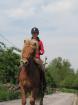 Suche RB im Raum Krefeld