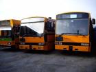 Iveco Linienbusse 30 Stück lieferbar