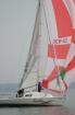 Segelyacht Carrera 290 8 90 x 2 95 BJ 1993 super gepflegt
