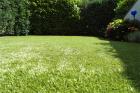 Kunstrasen von Golden Green - Unser Gras ist grüner