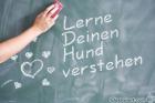 Traumjob Hundetrainer/Tierpsychologe