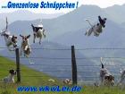 Renovierungsbedürftige Immobilien von wkwler bei www. wkwler. de