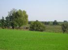 Grundstück in 17291 Uckerfelde