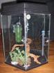 120l Aquarium auf VHB