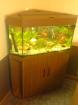 Juwel Delta 100 Eckaquarium - Aquarium - 160 L. mit Zubehör