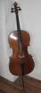 Violoncello 1/2 Cello französisch