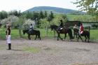 Reiterferien für Mädchen in Darlingerode/Harz