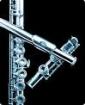 Du spielst ein Blasinstrument Alleine ist doof