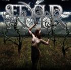 Melodic-Metalcore in Nürnberg