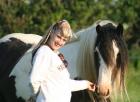 4 jähriger zigeuner pferd zu verkauf