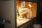 ALU/MDF- Terrarium 150x80x95 Bartagamenpärchen