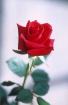 M22 aus 21244 sucht