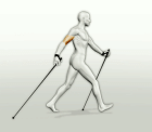 Neue Nordic-Walking Kurse ab Samstag den 17. April 2022