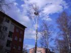Baumpflege Baumsanierung Baumfällarbeiten Gartenarbeiten rund um Bremen