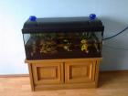 Aquarium Mit Kompletten Zubehör Mit fische Zwei Pummen alles was man so braucht