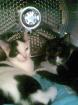 Paul und Emma suchen ein neues Zuhause HILFE