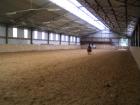 Www. go-WESTerbroek. de Horsestables Künstler 47638 Straelen