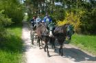 Kleine Hufeisen Fahren