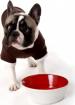 Online Hundeshop mit Hundezubehör und Hundebedarf. Lillibed Hundeshop-das kerng