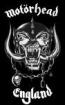 Wanted ROCKDRUMMER BASEL-STADT-CH