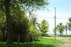 Costa Rica Schönes Baugrundstück am Strand von San Miguel Guanacaste