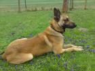 SUCHE DRINGEND NEUES ZU HAUSE