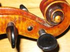 Geigenunterricht Musikunterricht Eliza Prieß