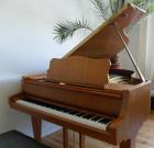 Schimmel Flügel 174T Nussbaum satiniert von Klavierlehrer